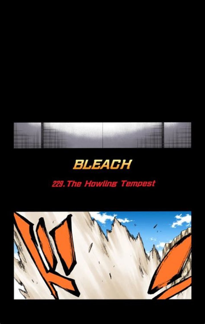 Bleach - 229 - Large 03 Bleach - 229 - Large 03