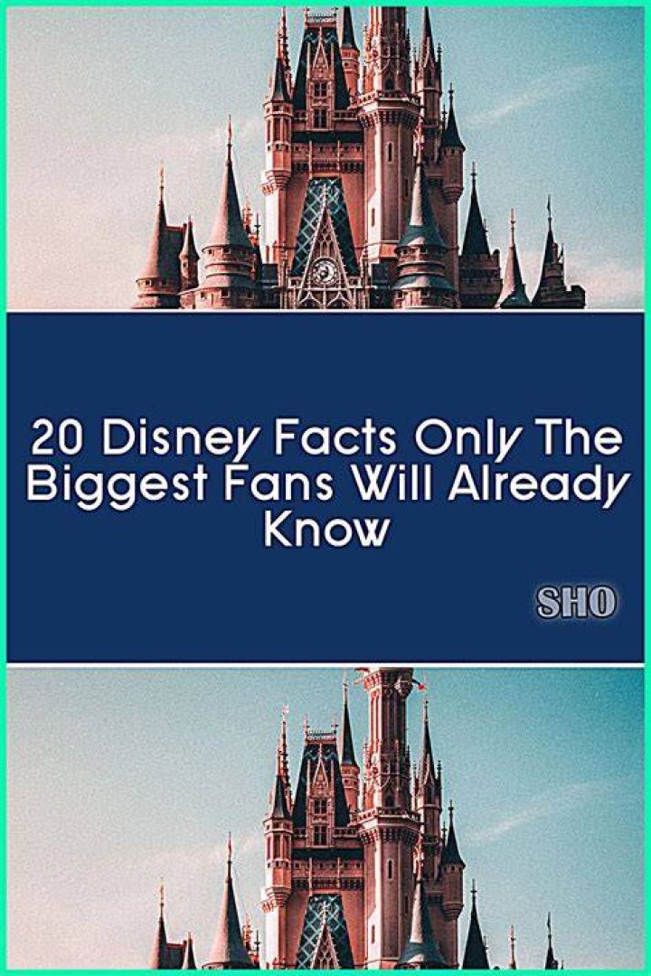 Facts Only Huge Fans Know