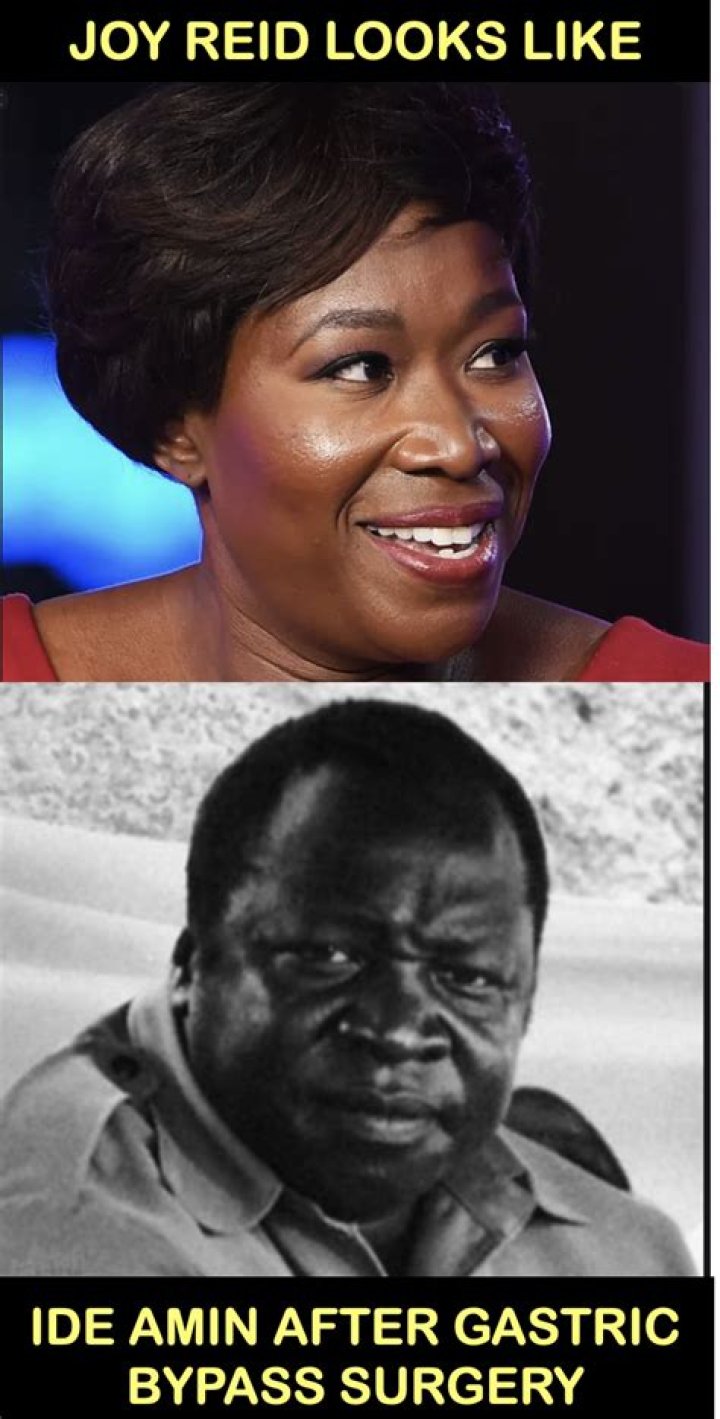 Joy Reid Memes Imgflip