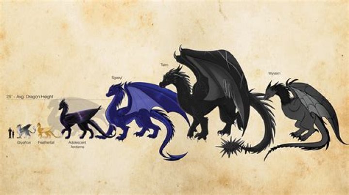 Understanding The Baide Dragon: A Comprehensive Guide